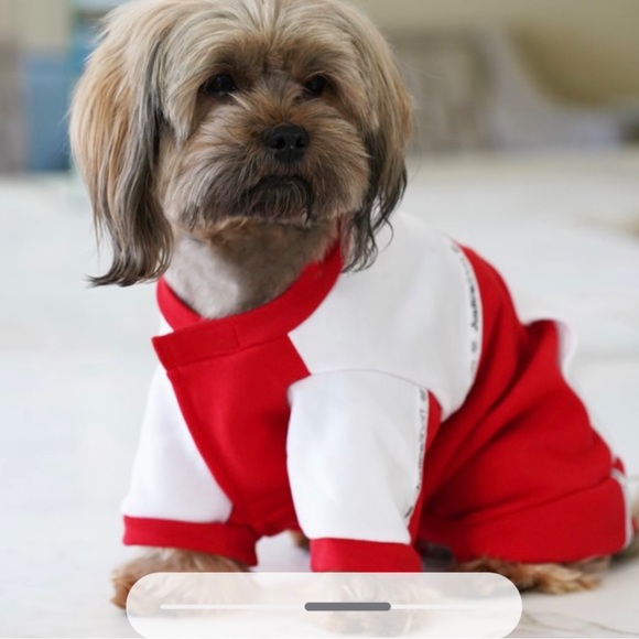 Justice Pet Apparel Dog Jogging Suit - Picture 4 of 6